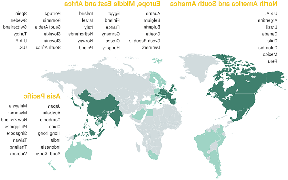 Global Network